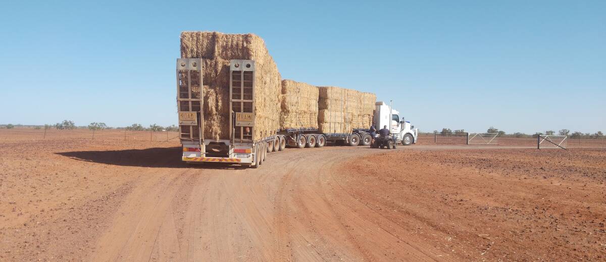 A road train of hay, funded by money raised at November's Bendigo art exhibition, arrives at a property near Cobar. 
