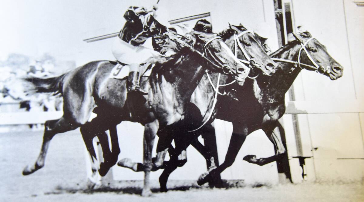Sailor's Guide defeats Tulloch and Prince Darius in the Queen Elizabeth Stakes at Flemington, in March 1958.