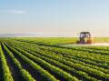 BUMPER HARVEST: Rural Bank's mid-year outlook forecasts good times ahead for Australian producers during the second half of 2022.