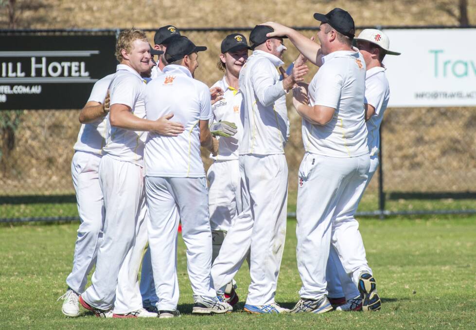TIGER PACK: United players celebrate one of Harry Whittle's six wickets against Spring Gully on Saturday.