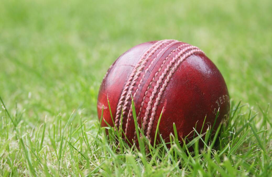 BDCA - Cricket umpires lay down the law: "enough is enough"