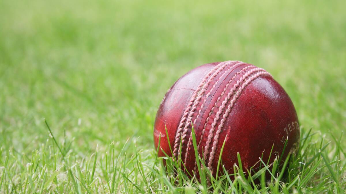 BDCA round eight cricket teams for this Saturday