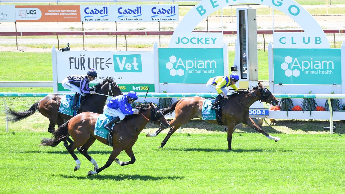 Schuhbeck wins the first at the Bendigo Jockey Club on Wednesday. Picture: Pat Scala/Racing Photos