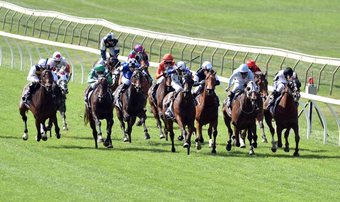 OFF AND RACING: The field sets off in last year's Bendigo Cup won by Red Alto and trained by Sutton Grange's Brent Stanley. This year's Bendigo Cup to be held on Wednesday, October 30, will be worth $400,000.