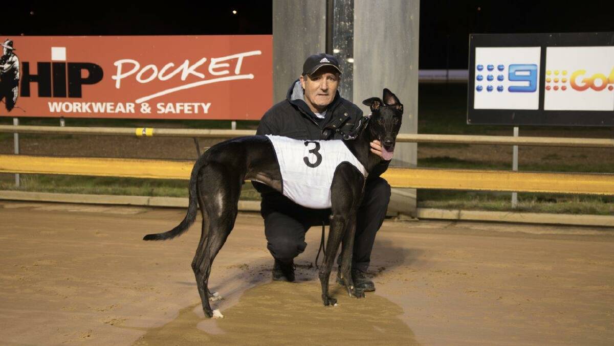 IMPRESSIVE RUN: Trainer Michael Carter with Music Event after his heat win the Gold Rush maiden series on Saturday, Picture: AMBER MANNING PHOTOGRAPHY