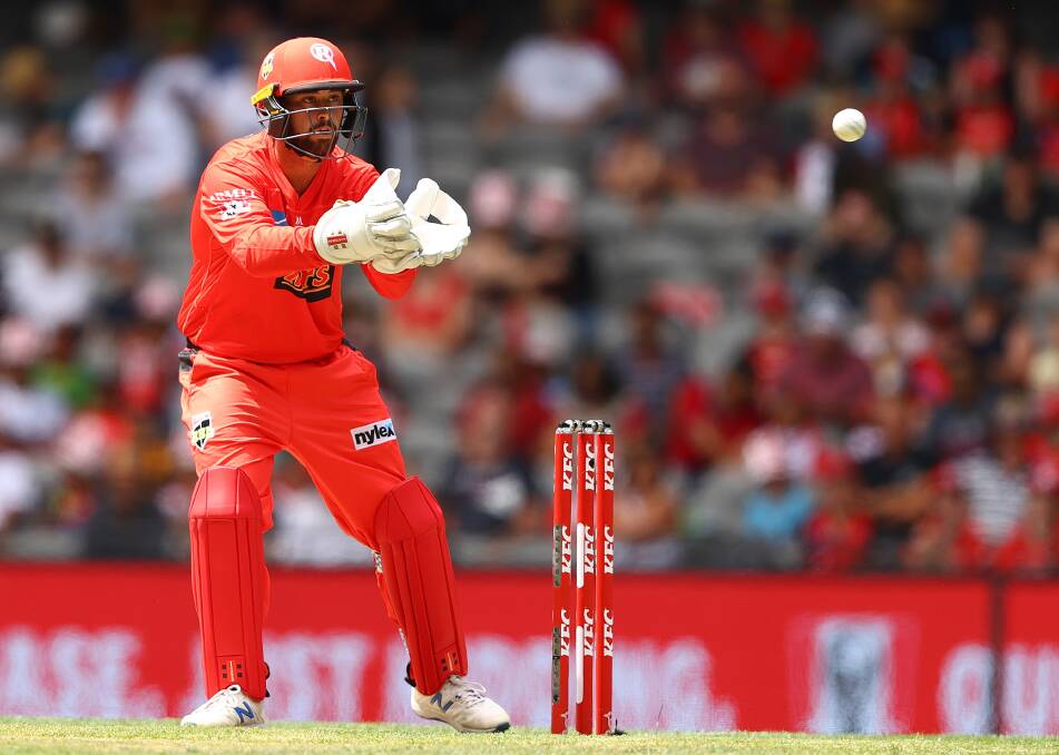 STEPPING UP: Brayden Stepien is back with the Melbourne Renegades after playing two Big Bash League matches with the club last summer. Picture: GETTY IMAGES