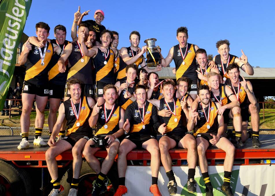 PREMIERSHIP ROAR: Sea Lake Nandaly players after winning Saturday's NCFL grand final against Birchip-Watchem. Pictures: NONI HYETT