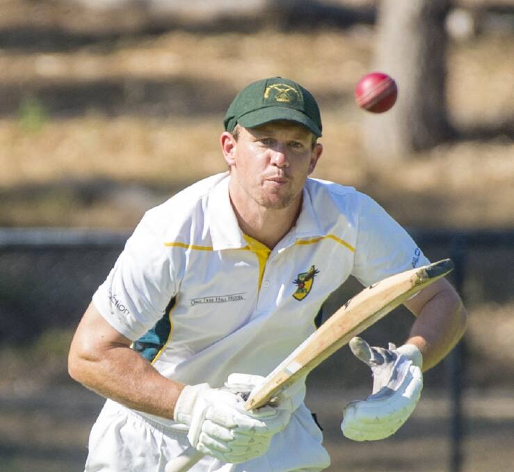 RUN MACHINE: Rhys Webb's 825 runs for Spring Gully featured three centuries, including the two highest scores of the season - 180 and 165. Picture: DARREN HOWE