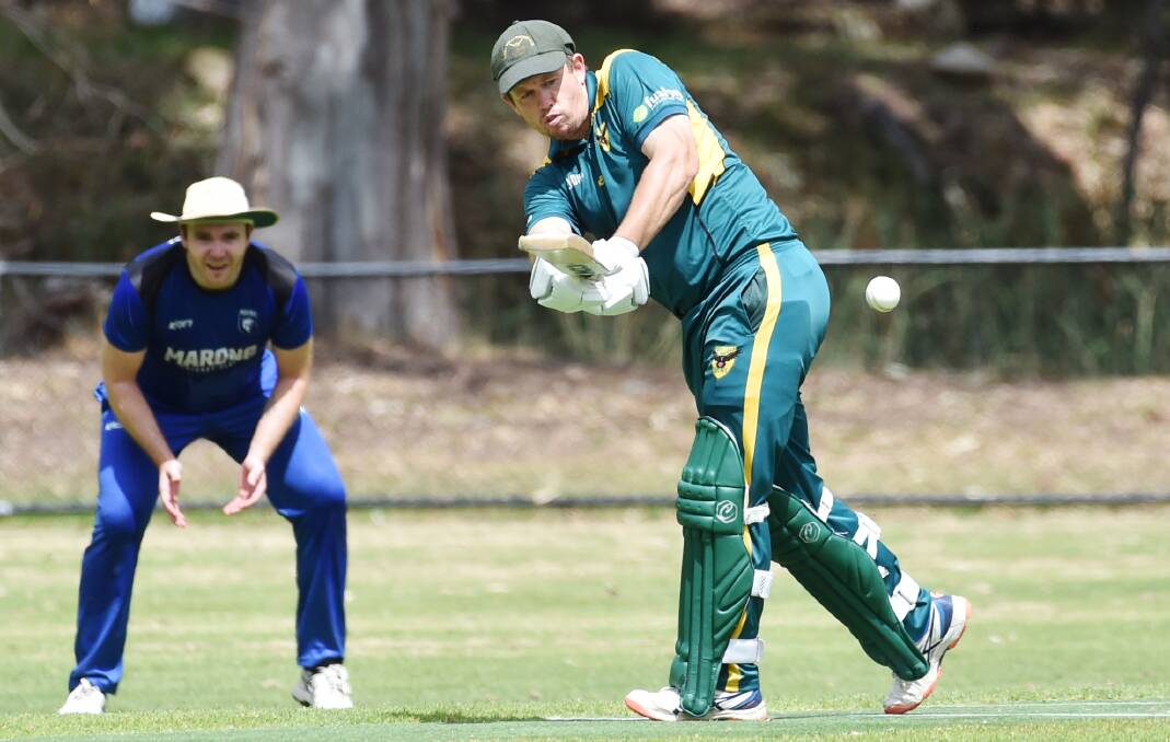 DOMINANT: Spring Gully all-rounder has made the VCCL Team of the Year for a second season in a row. Picture: DARREN HOWE