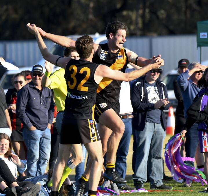 TIGER ROAR: Sea Lake Nandaly, which won last year's grand final, will continue as the NCFL's reigning premier into the 2021 season. Pictures: NONI HYETT