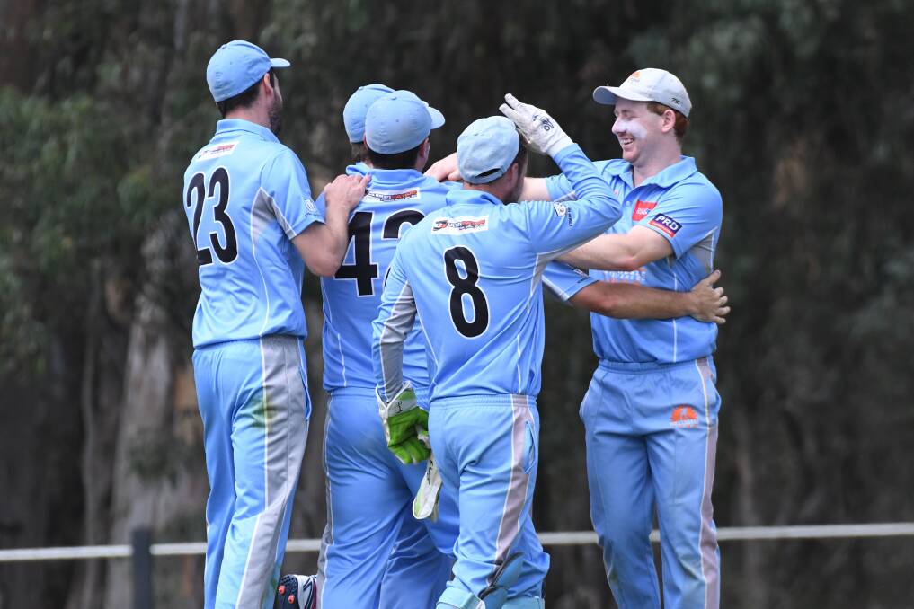 SMILING SUNS: Strathdale-Maristians celebrate a wicket against Haig Fawkner at Bell Oval in their Regional Big Bash on Sunday. Pictures: NONI HYETT