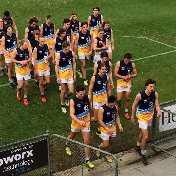 TOUGH DAY: The Bendigo Pioneers leave the field after Saturday's loss to the Dandenong Stingrays at Shepley Oval. Picture: BENDIGO PIONEERS FACEBOOK