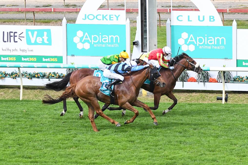 Wentwood ridden by Harry Coffey wins the 2021 Apiam Bendigo Cup. Picture: PAT SCALA/RACING PHOTOS
