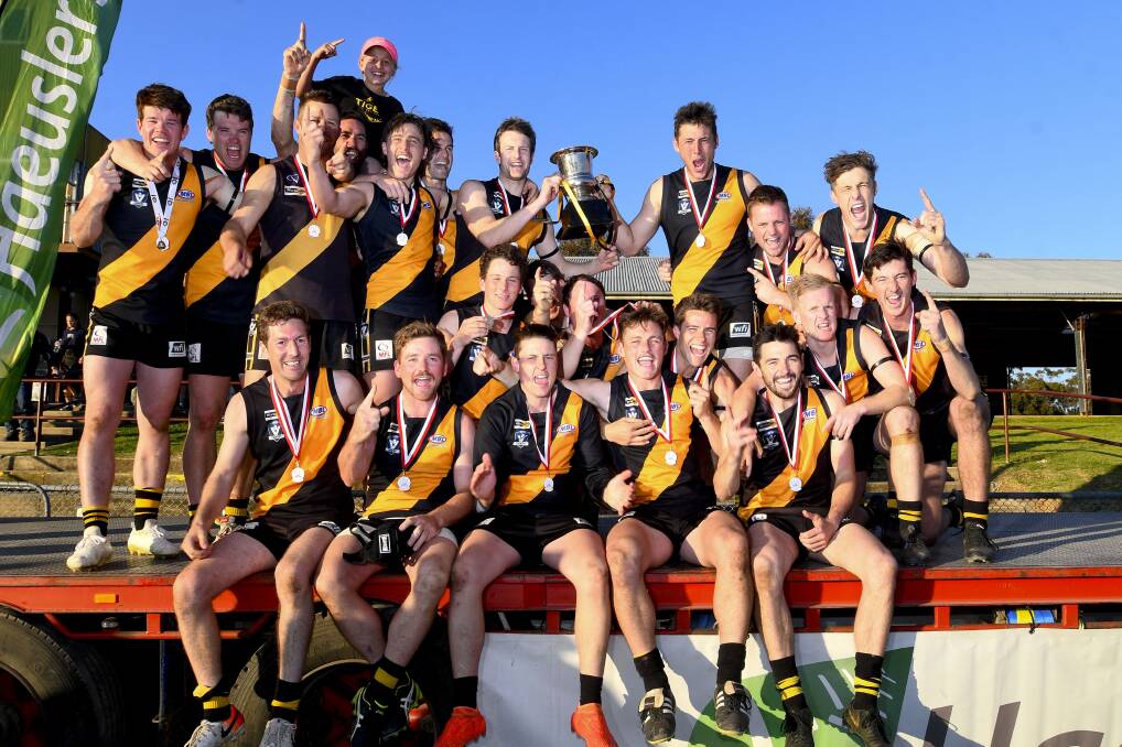 TIGERS ROAR: The Sea Lake Nandaly team that defeated Birchip-Watchem by 19 points in last month's grand final. Pictures: NONI HYETT