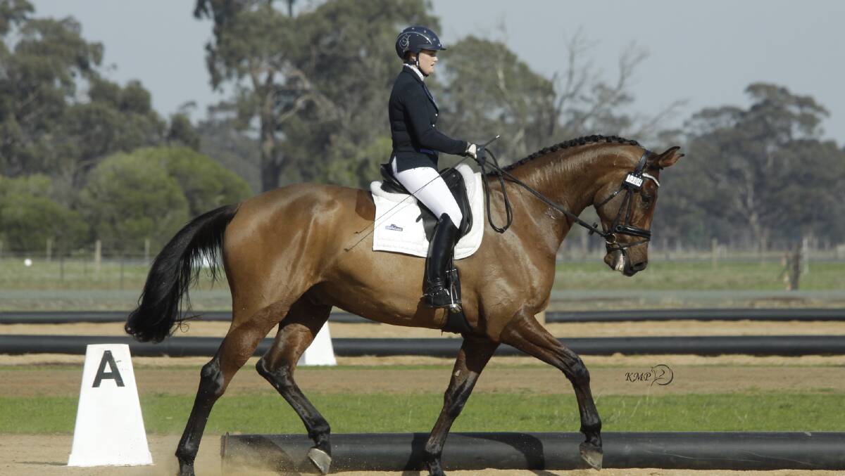 Sian Hendry riding Don Presitige during the Elmore Equestrian Club's dressage event. Picture: KATHRYN MILIAN PHOTOGRAPHY