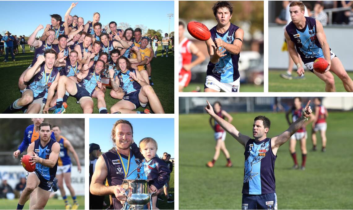 DECADE OF HAWKS: Top - 2018 premiers, Brodie Collins and Ben McPhee. Bottom - Brodie Filo, Josh Bowe with son Sunny and Matt Gretgrix.