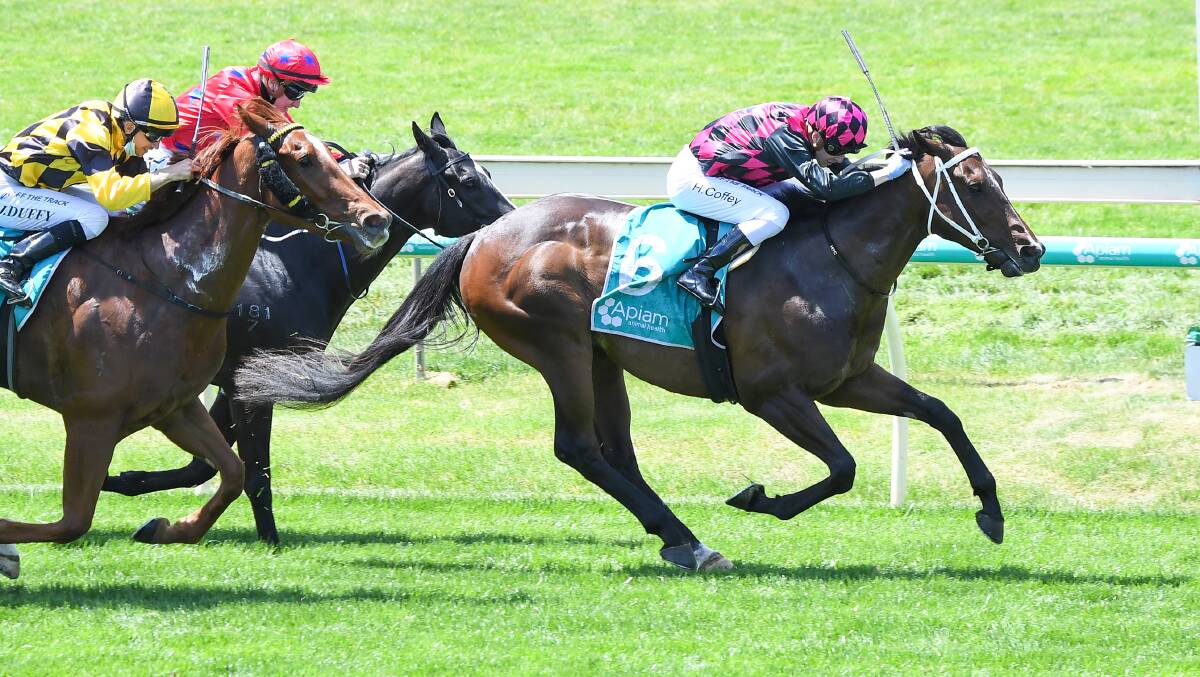 The Kym Hann-trained Royal Tyke, ridden by Harry Coffey, wins the BRB Electrical BM78 Handicap. Picture: PAT SCALA/RACING PHOTOS
