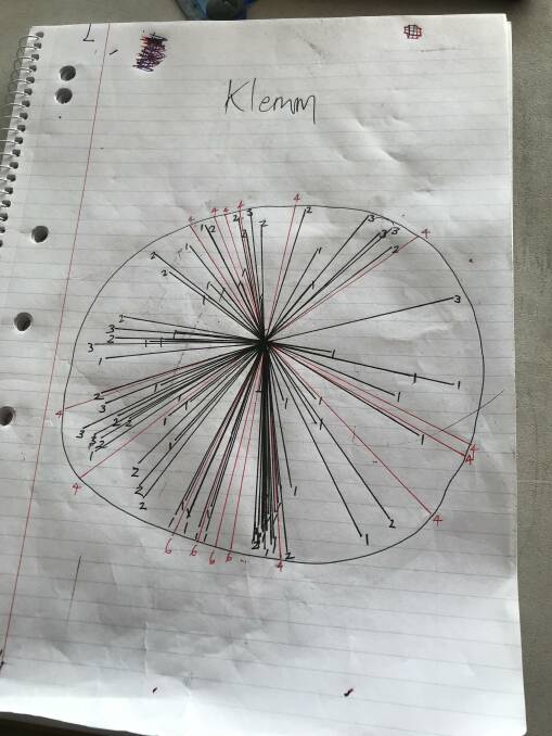 Jake Klemm's wagon wheel as compiled by Mitch Davey.