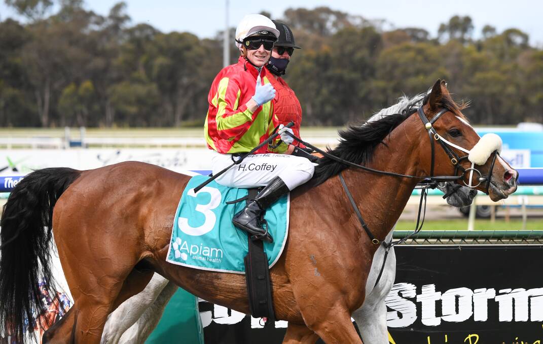 Harry Coffey aboard Wentwood after winning the Apiam Bendigo Cup. Picture: PAT SCALA/RACING PHOTOS