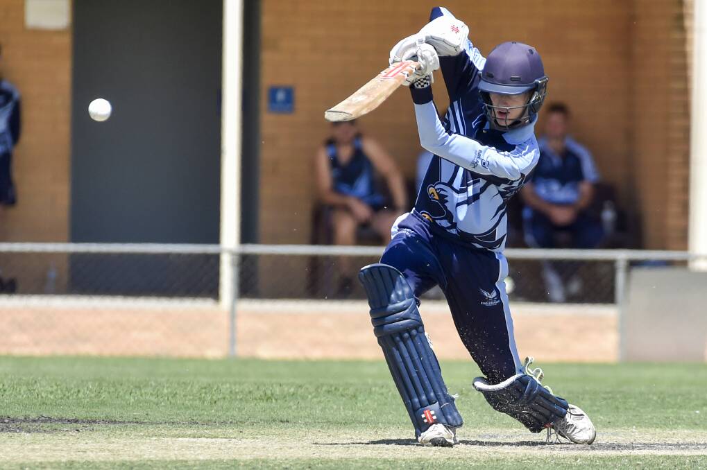 CLASS SHOT: Eaglehawk's Ben Williams. The fourth-placed Hawks host White Hills in the final round of the BDCA season on Saturday. Picture: DARREN HOWE