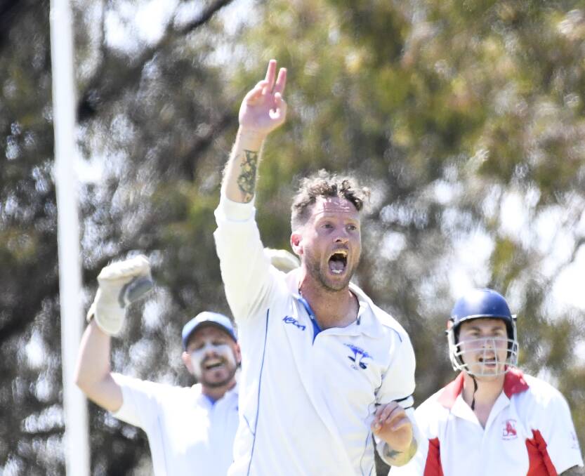 HOWZAT: California Gully's Shaun O'Shea appeals for a wicket. O'Shea took 24 wickets for the season for the Cobras. Picture: NONI HYETT