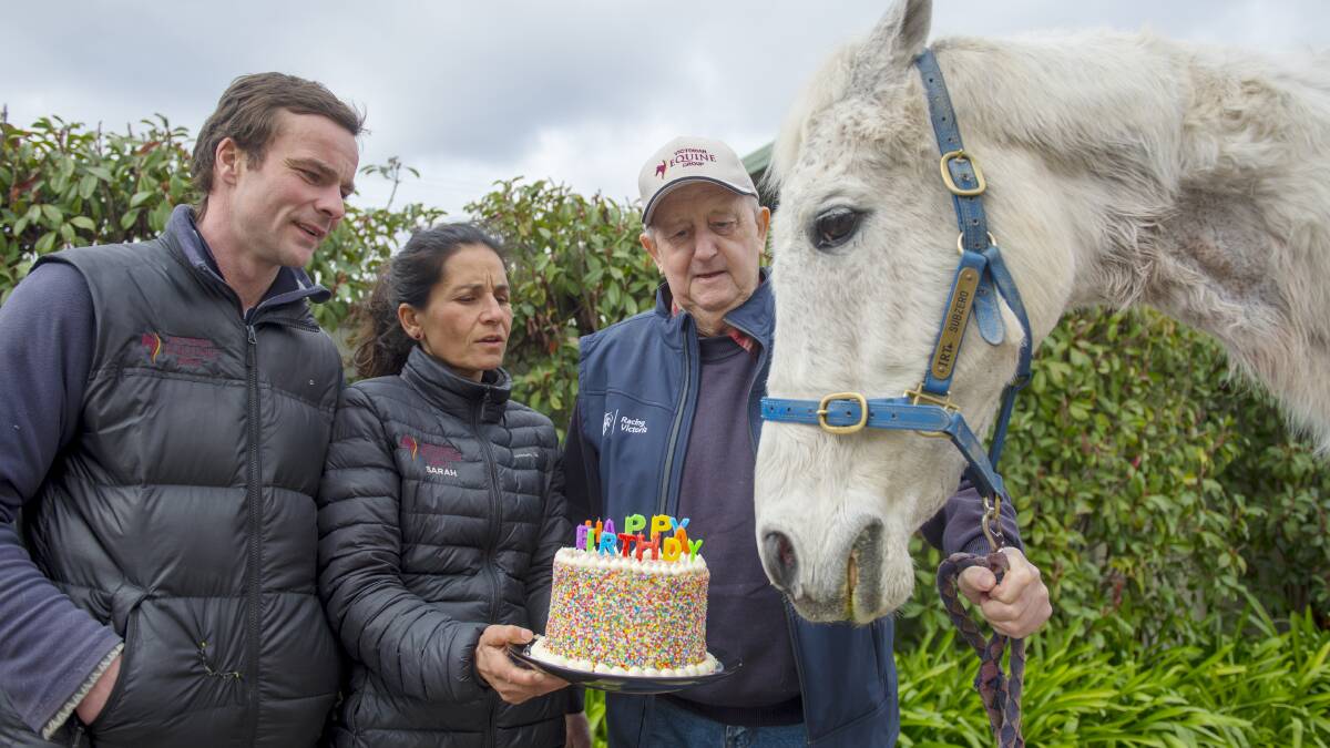 HAPPY BIRTHDAY: Vets Mike Whiteford and Sarah Jalim with Graham Salisbury and Subzero on Thursday. Subbie is eyeing off a piece of his birthday cake. 