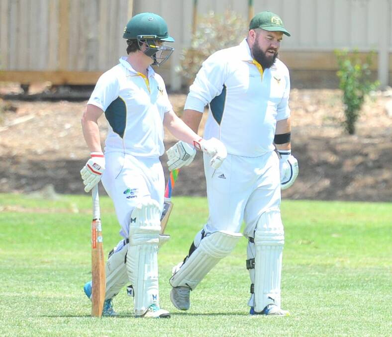 SUPERB PARTNERSHIP: Spring Gully's Lachlan Brook and Brannon Stanford put on 205 for the first wicket.