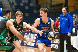 Bendigo's Liam O'Brien in action against Ringwood in Sunday's NBL1 men's match against Ringwood at Red Energy Arena. Picture by Enzo Tomasiello