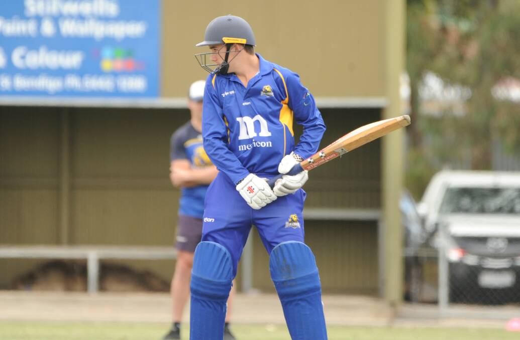 FOCUSED: Golden Square opening batsman Tom Campbell. The Bulldogs begin their season at home against Huntly-North Epsom on November 13.
