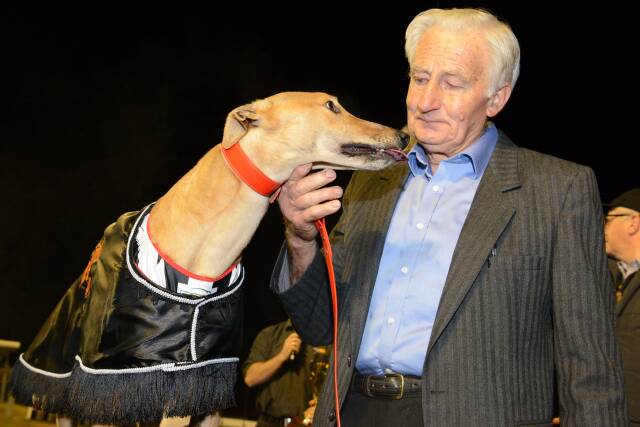 WINNING NIGHT: Trainer Norm McCullagh with Bendigo Cup winner Crimson Vixen at Lord's Raceway on Friday night. Picture: CLINT ANDERSON