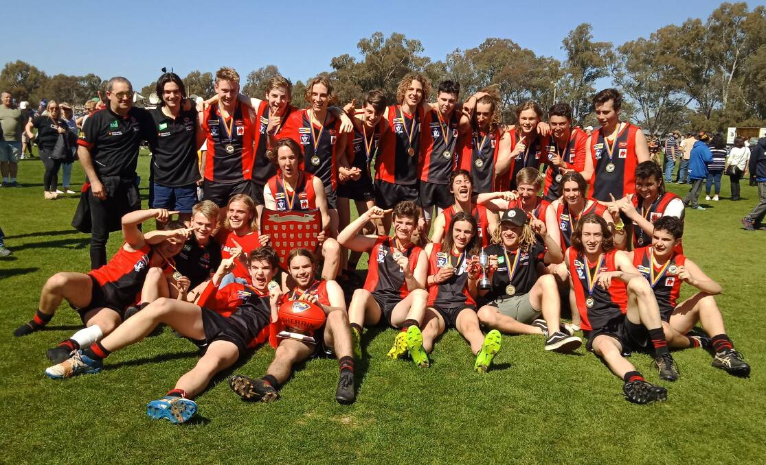 DEMON DYNAMOS: White Hills, which won last year's HDFNL under-17 premiership, is one of the 10 teams that have nominated.