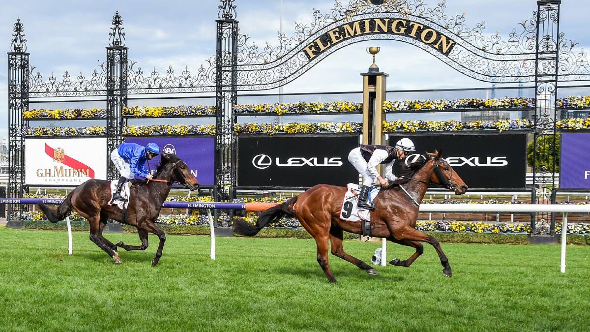 VICTORIOUS: Jockey Liam Riordan rides Coming Around to a win at Flemington for trainer Brent Stanley in the G.H.Mumm Plate on Saturday. Picture: BRETT HOLBURT, RACING PHOTOS