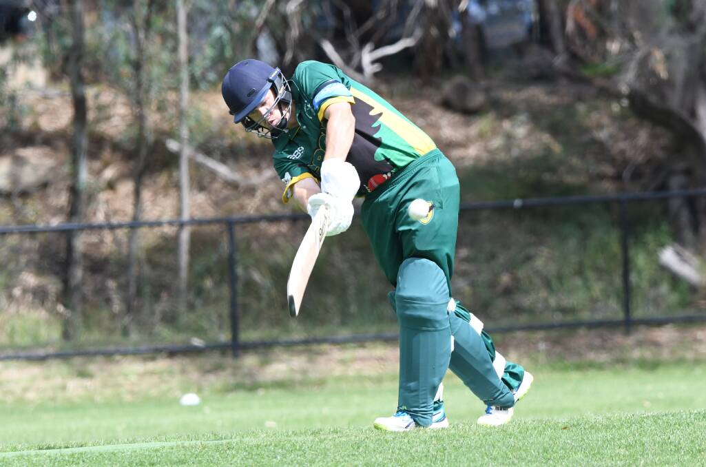 WELL PLAYED: Rhys Webb was a dominant player in Spring Gully's Emu Valley Cricket Association premiership season. Picture: NONI HYETT