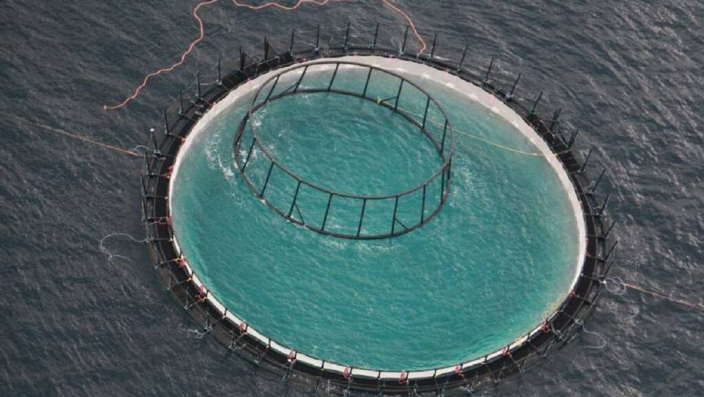 One of the "fortress pen" sea cages located seven kilometres off the coast of Hawks Nest used to hold 20,000 kingfish each as part of an aquaculture research trail. Picture: Sam Norris