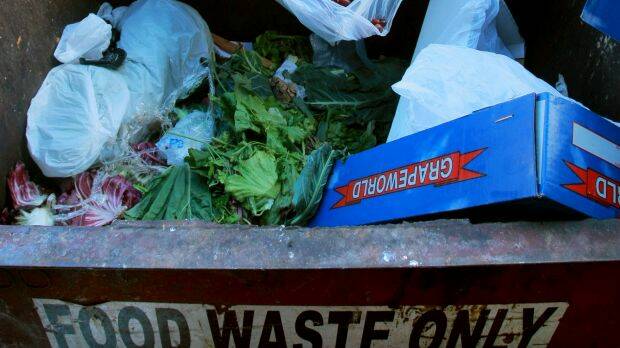 The average Melburnian generates about 207 kilograms of food waste a year. Photo: Craig Sillitoe
