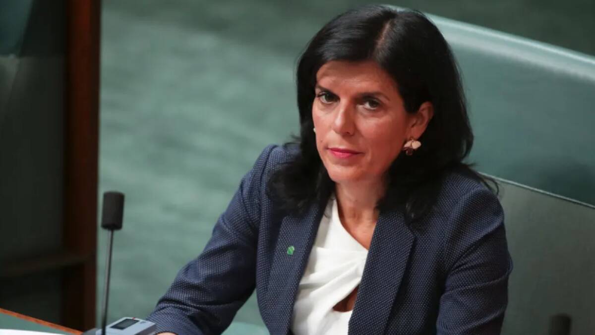 Liberal MP Julia Banks says she has to quite the party because of the "dark days" of the leadership spill. Photo: Alex Ellinghausen