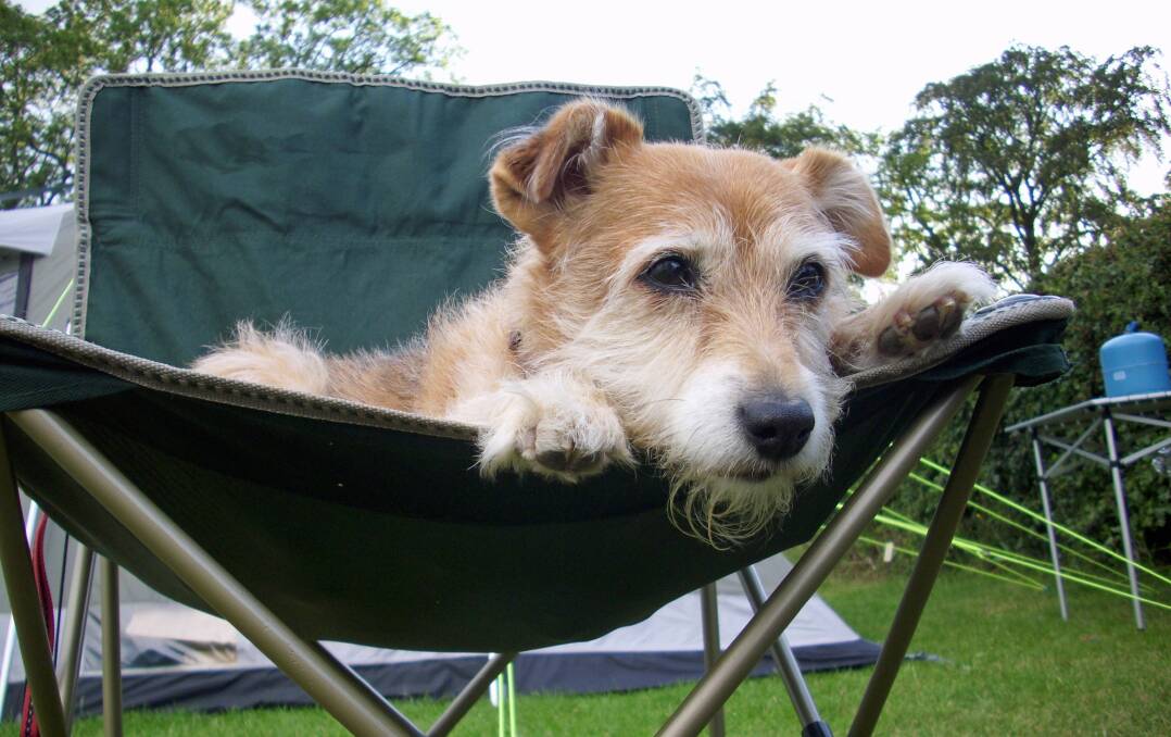 Dogs are an integral part of your family, so choosing a camping spot or holiday accommodation can take careful planning. There's a great story about this very topic in the 2018 Bendigo Seniors Magazine.
