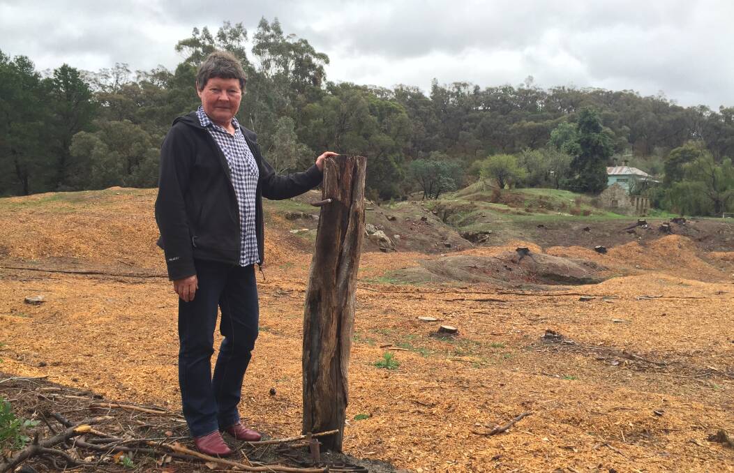 MARIE JONES: 'We need the federal government to acknowledge the work of local communities in protecting the environment by funding them – landcare only exists if they have a bit of funding'. Pictures: JOSEPH HINCHLIFFE