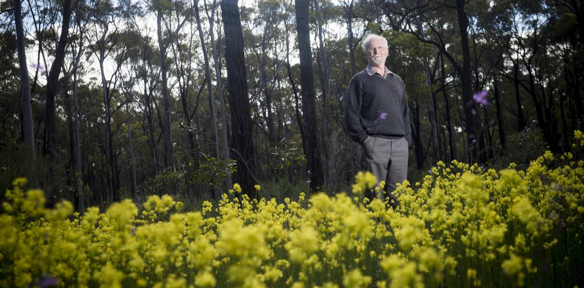 REMNANT FOREST: Stuart Fraser stands amongst native wild flowers and the box-ironbarks of the Wellsford Forest. Picture: DARREN HOWE