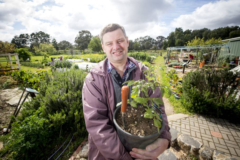 SEEDS OF HOPE: Gregory McDowell at the soon-to-be-redeveloped PepperGreen Farm. Picture: DARREN HOWE
