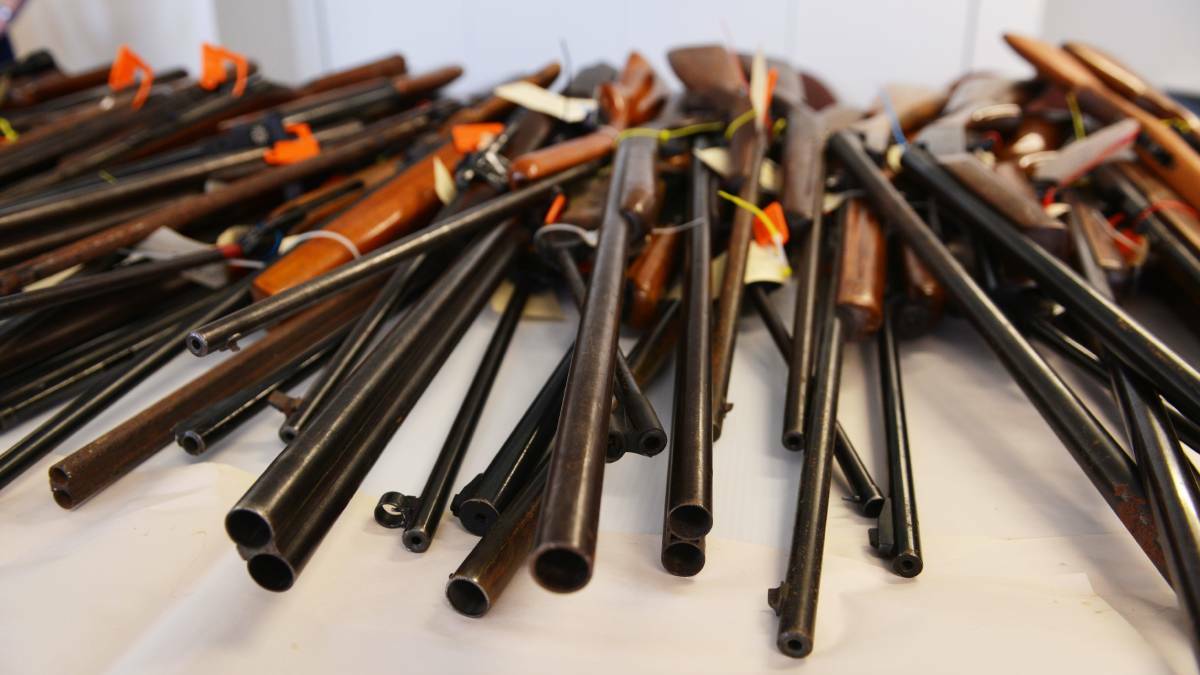 A stockpile of shotguns. File photo