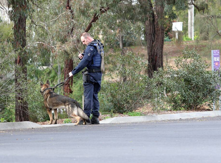 WANTED: A general duties police dog, flown in from Melbourne, assists in the search for four men in Bendigo last week. Picture: GLENN DANIELS