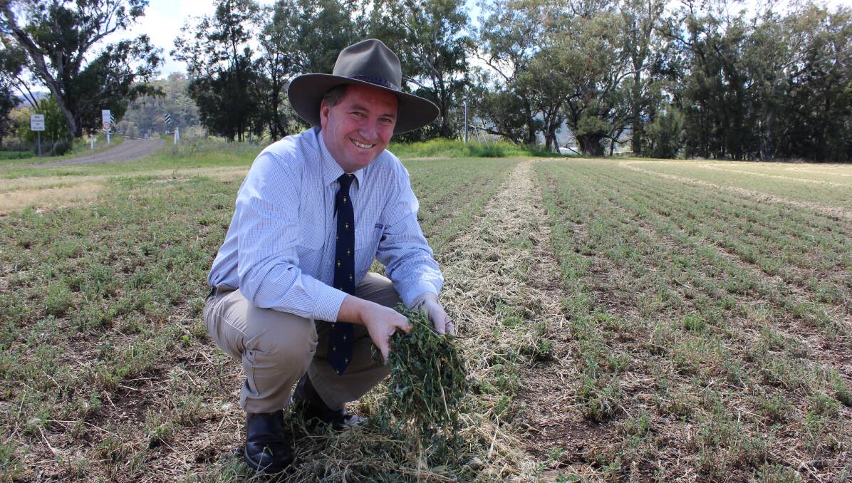 HUGE BOOST: Federal Agriculture Minister Barnaby Joyce says the Trans-Pacific Partnership deal will remove barriers to trade.