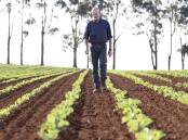 Food Bowl: Forth vegetable grower, former Ausveg chairman Mike Badcock, welcomes a call from the peak grower body for funding for a national campaign to get Aussies to eat more veggies. 