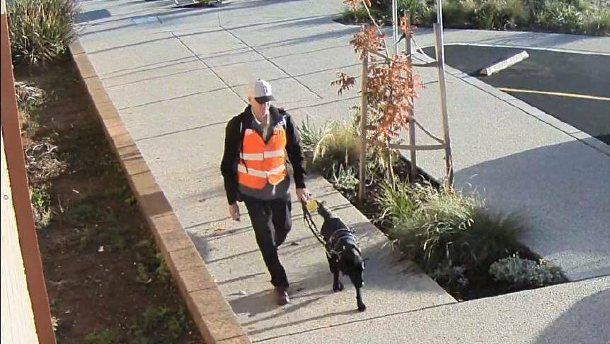 FATALITY: A still image taken from CCTV footage of Ray Meadows and his guide dog Gerry in Wedderburn, on an afternoon before their deaths on June 2.