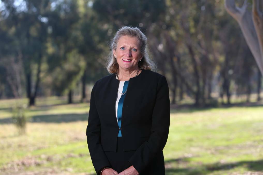 Penny Armytage, the chair of the Royal Commission into Victoria's Mental Health System. Picture: GLENN DANIELS