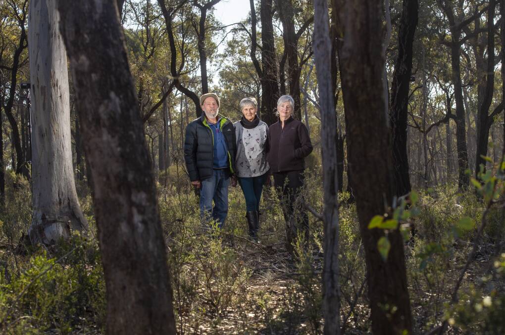 John Bardsley, Wendy Radford and Glenda Verrinder were among those arguing for greater protection of the Wellsford Forest. Picture: DARREN HOWE