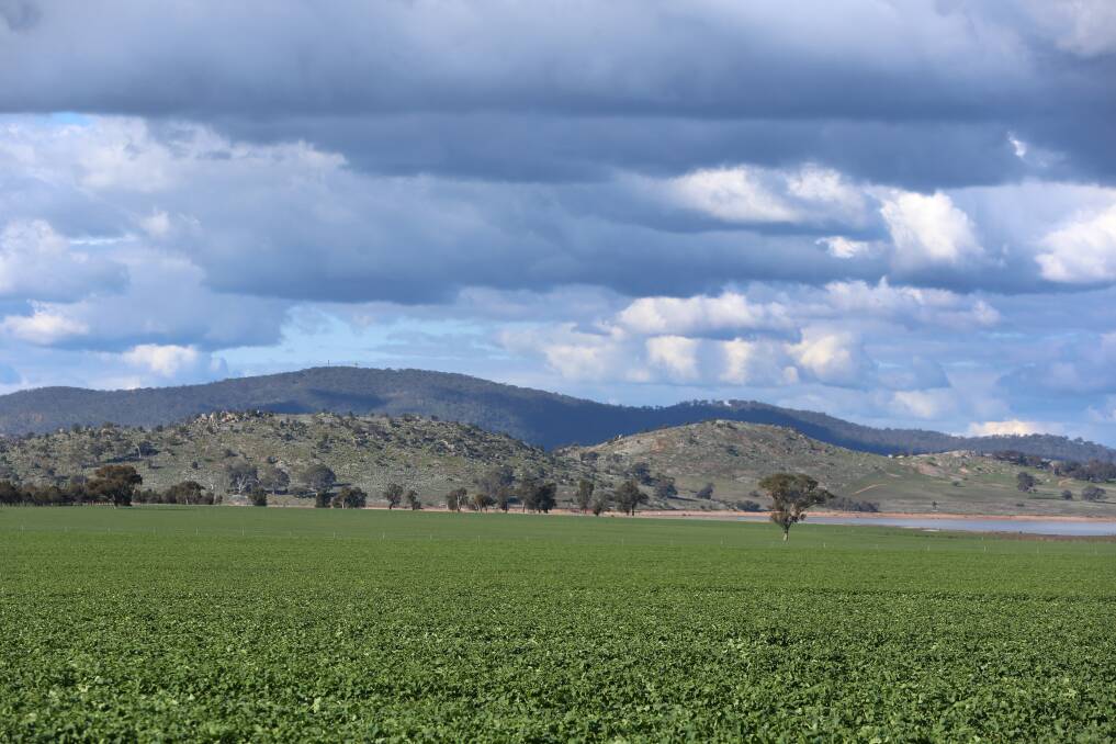 The tremor happened near Mount Tarrengower and was felt across central Victoria. Picture: GLENN DANIELS
