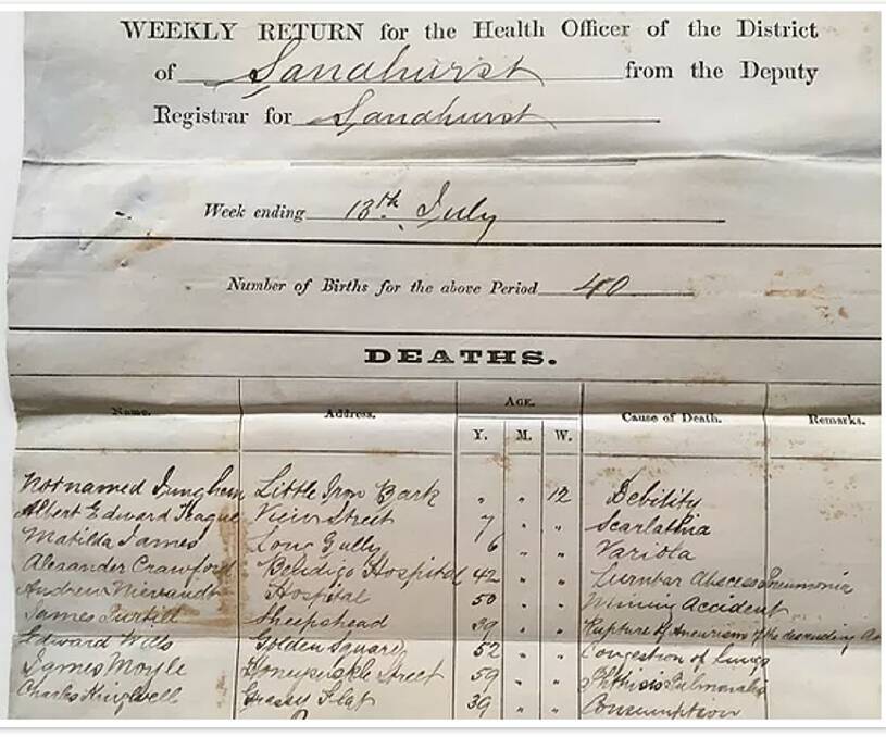 A health officer report including the name of one of the children who died from small pox (listed here as variola) in Long Gully during the outbreak. Picture: PUBLIC RECORDS OFFICE, CITY OF SANDHURST INWARD CORRESPONDENCE COLLECTION