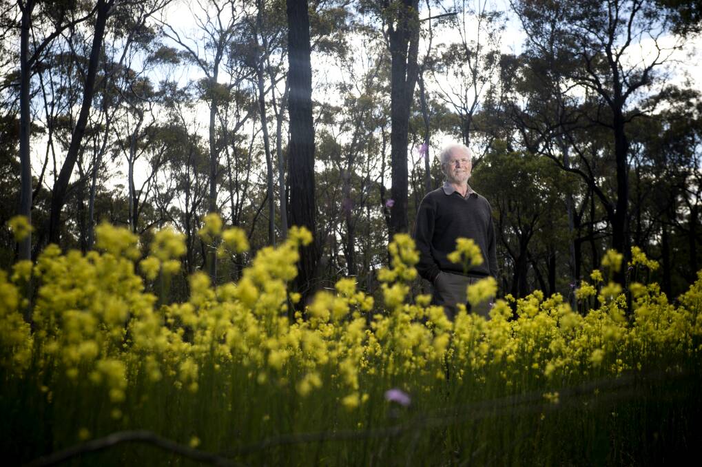 Stuart Fraser is a third generation beekeeper and environmental advocate. Picture: DARREN HOWE